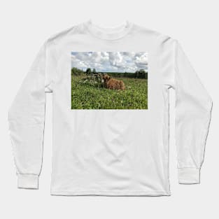 Scottish Highland Cattle Calf 1450 Long Sleeve T-Shirt